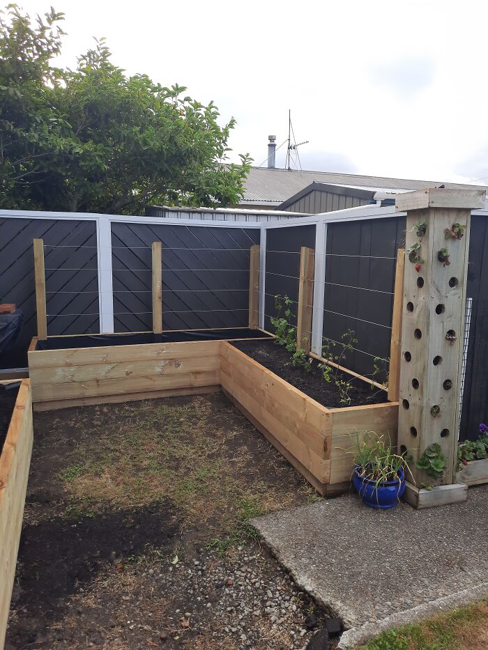 My So & I Built These Over The Christmas Break