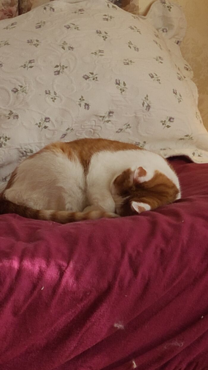 Gotta Keep That Nose Warm...