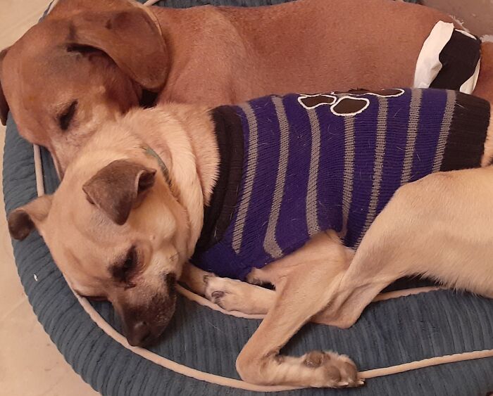 Being So Cute Is Tiring