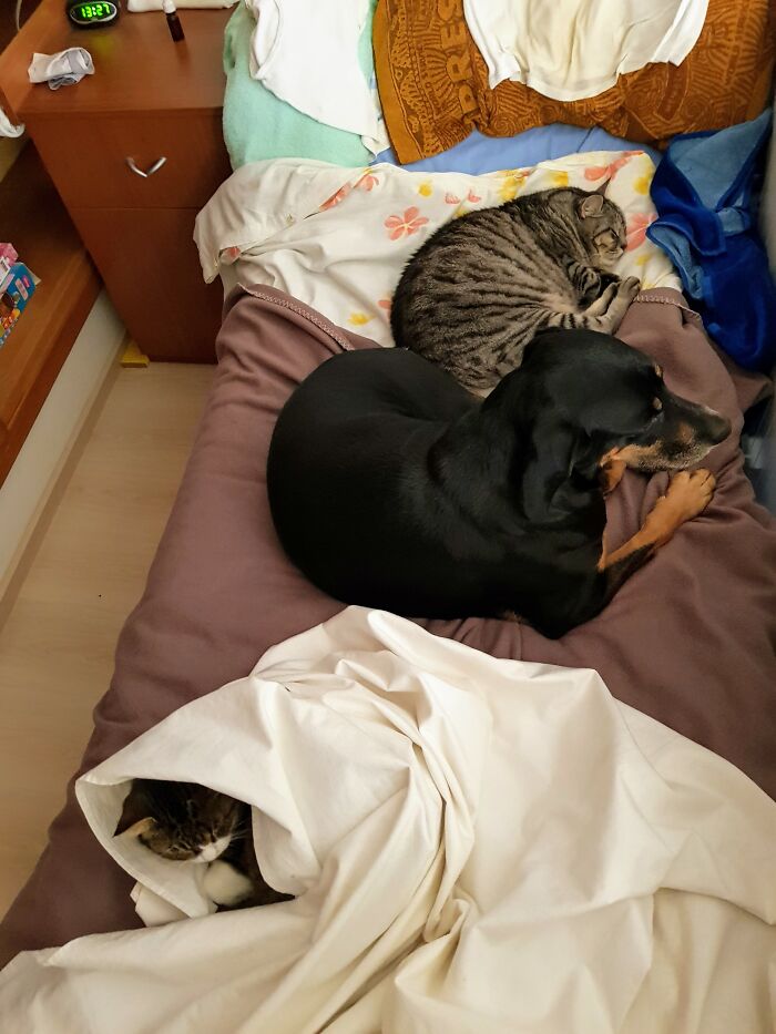 Sleeping In Company