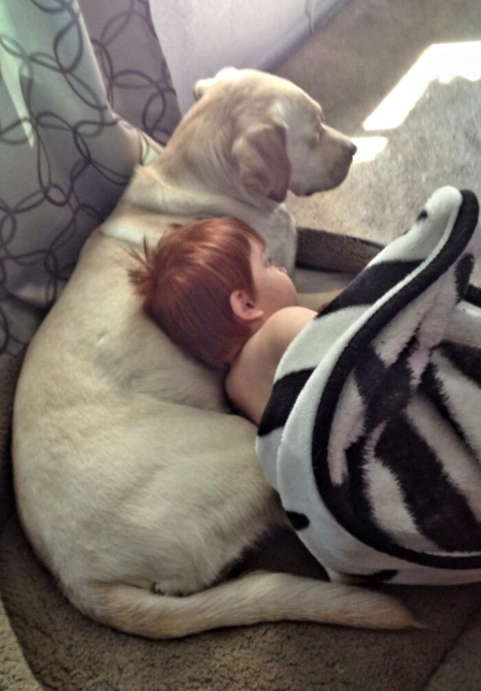 A Boy And His Dog. Leo And Gingerbread ( Over The Rainbow Bridge Now)