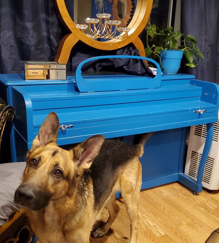 My 1949 Betsy Ross Spinet Made By Lester And Sir Maximilian Eugene Barrington The 3rd
