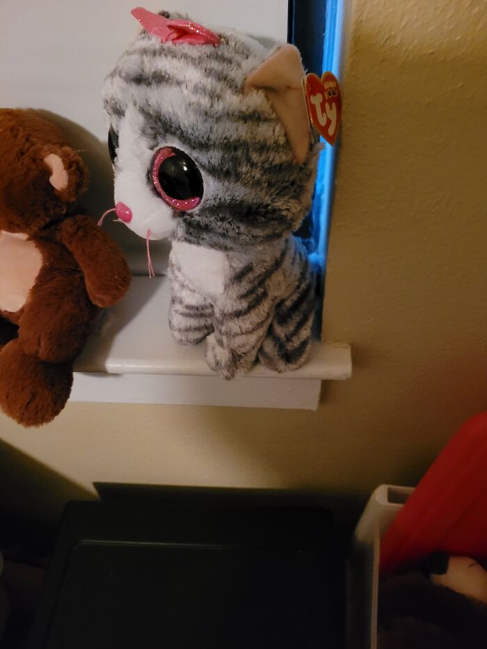 Beanie Baby Guard Cat Always On Duty