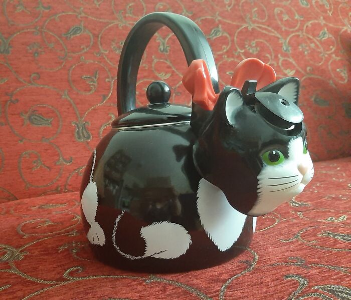 Cat Kettle