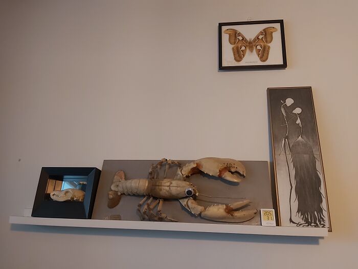 One Happy (But Dead) Lobster.