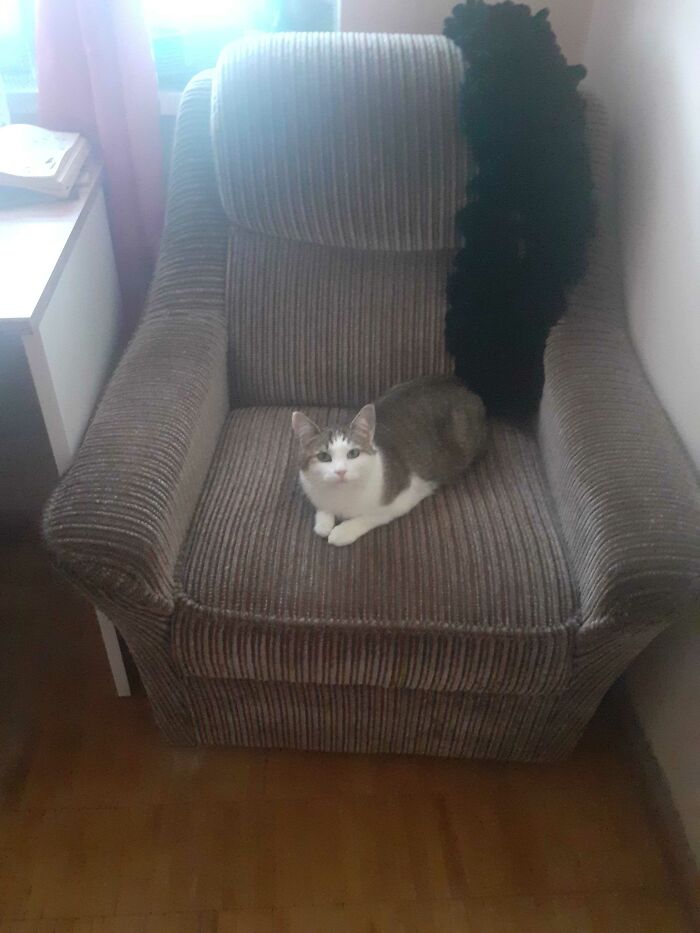 Chillin' On Her Seat