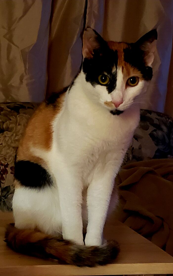 Roxy Posing For Her Tinder Pic...