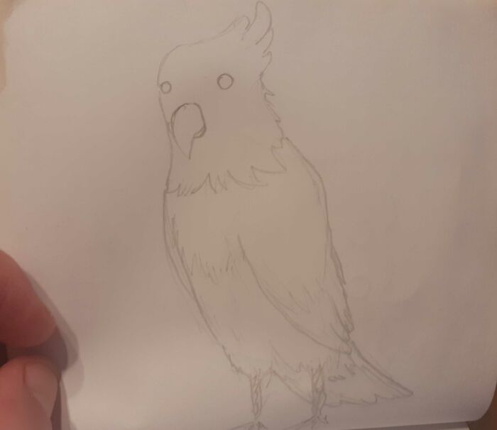 Have A Cockatiel