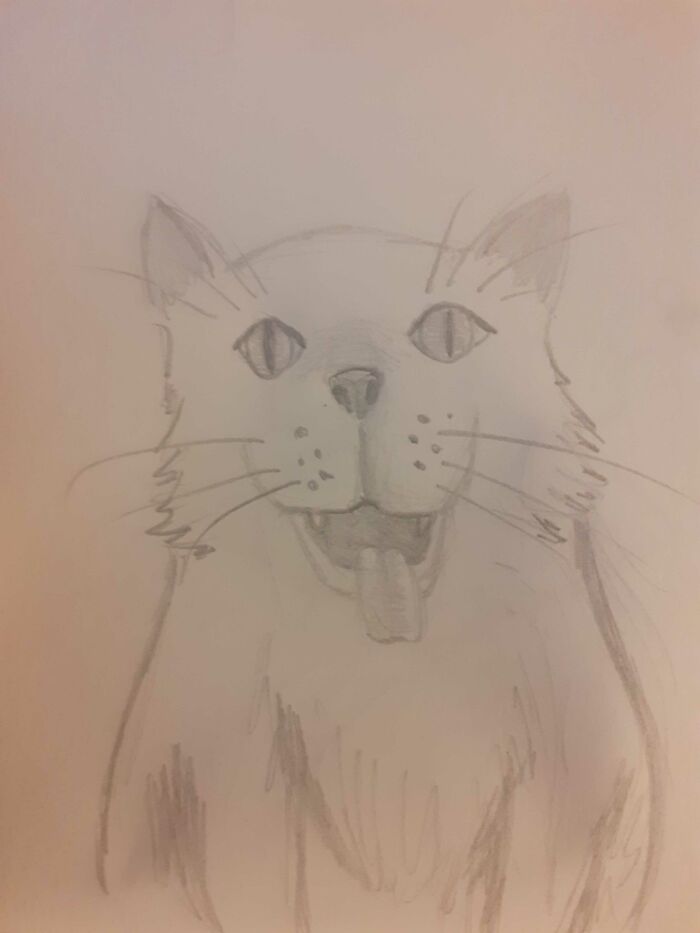 Dogcat. Catdog? Dat Cog? Cag Dot?