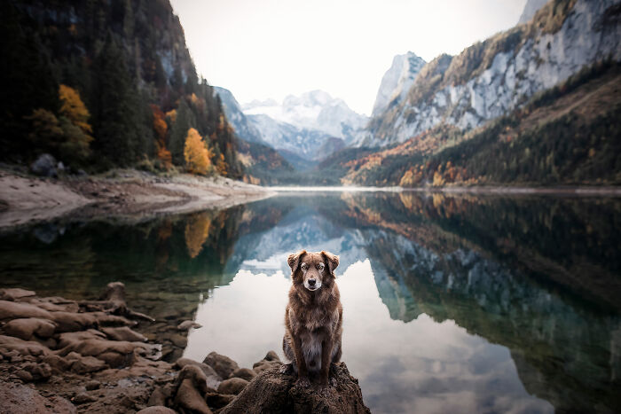 One Way Ticket To Paradise - I Will Take You On A Little Journey