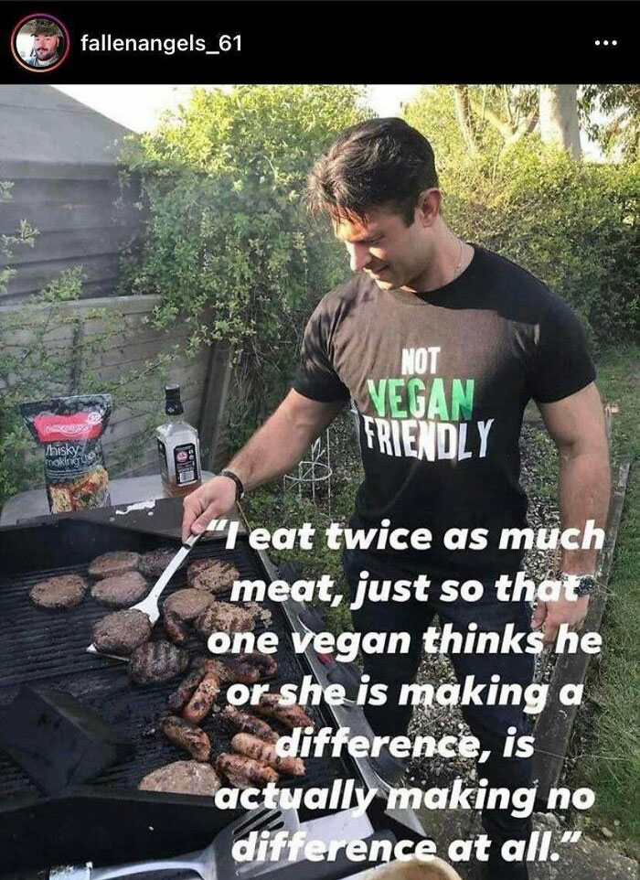 I See A Lot Of Vegan Cringe I Here But I Think People Who Are Anti Vegan For No Reason Can Be Cringe Too