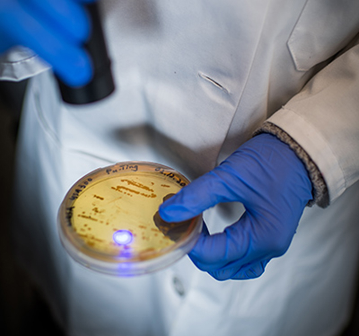 30 Interesting Things People Didn’t Learn At School And Decided To Share Them In This Online Group