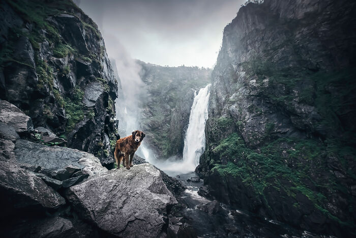 One Way Ticket To Paradise - I Will Take You On A Little Journey