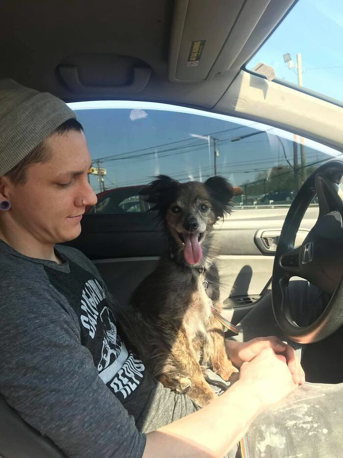 Dogs-Pretty-Eyes-Challenge-Facebook