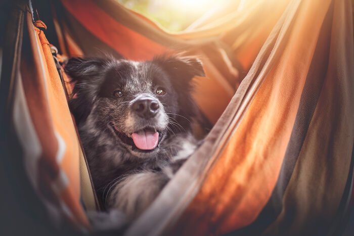 One Way Ticket To Paradise - I Will Take You On A Little Journey