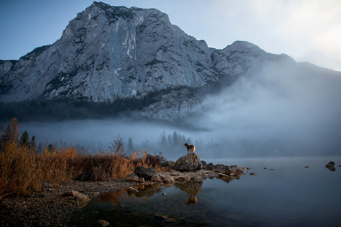 One Way Ticket To Paradise - I Will Take You On A Little Journey