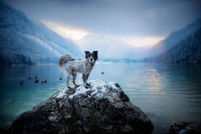 One Way Ticket To Paradise - I Will Take You On A Little Journey