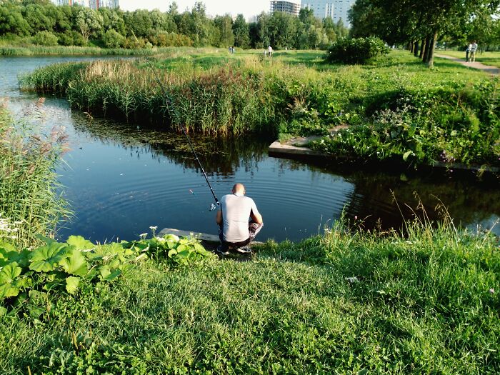 Today-I-Learned-Facts