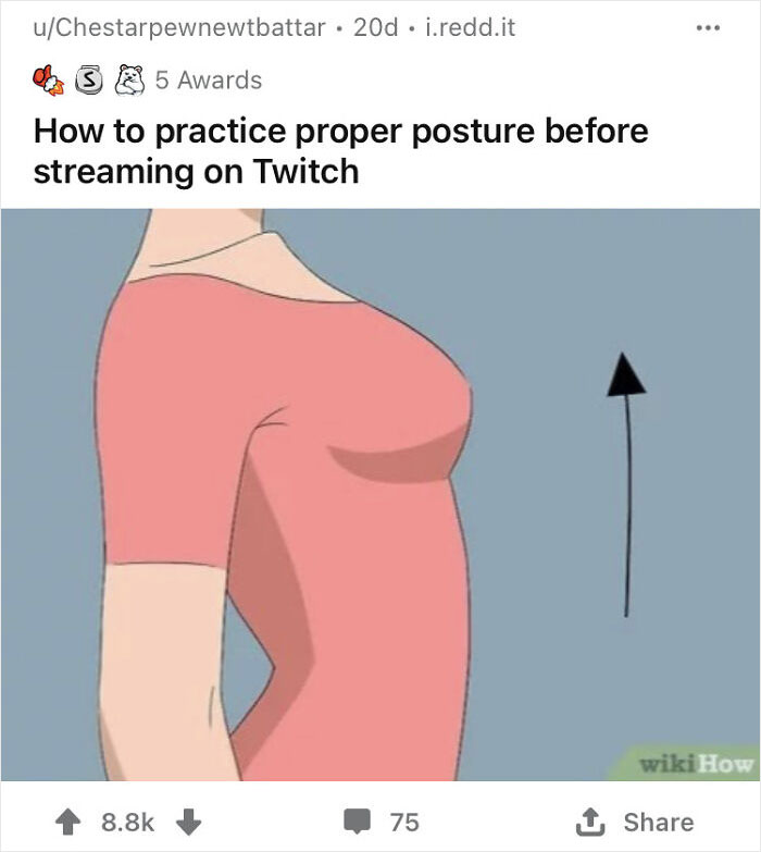 Alternate-Fake-Captions-Out-Of-Context-Wikihow-Pics