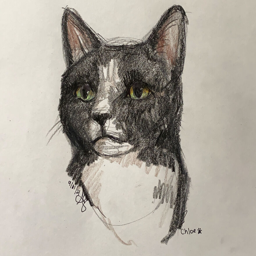 Pet Portraits For Charity