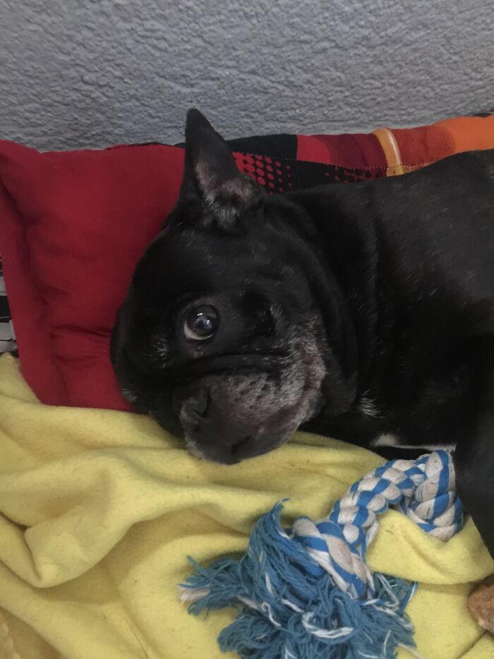 My Little Beauty! The First Day I Got Him And Eight Years Later!