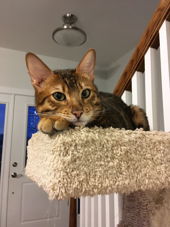 Why Hello Fancy Pants...