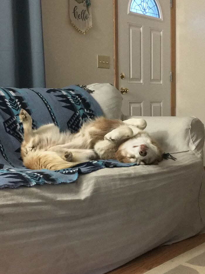 It’s Great When She Starts Running In Her Sleep.