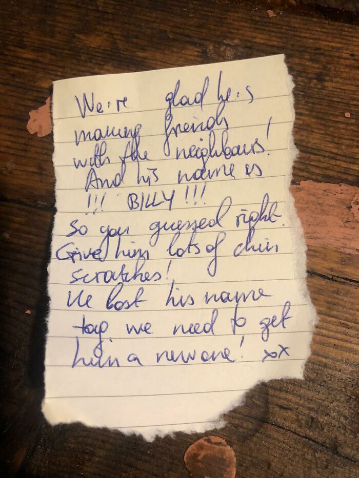 Cat Brings Its Parents A Note From The Neighbors He Visits, They Become Pen Pals With The Cat As Their Postman Cat Brings Its Parents A Note From The Neighbors He Visits, They Become Pen Pals With The Cat As Their Postman