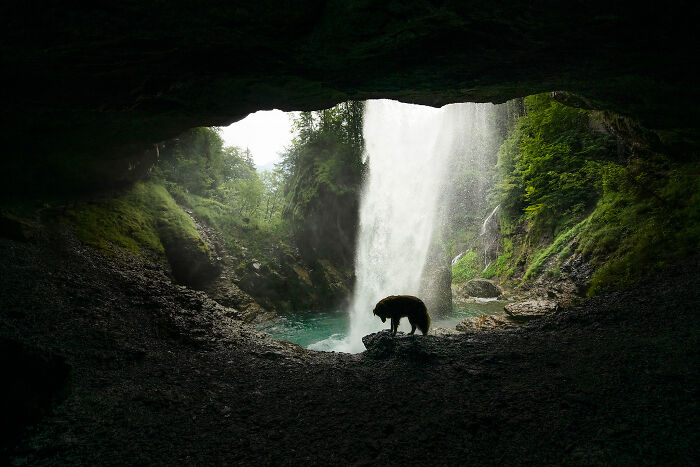 One Way Ticket To Paradise - I Will Take You On A Little Journey