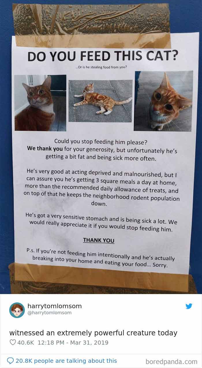 Funny-Cat-Notes-Warnings