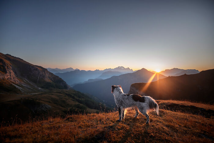 One Way Ticket To Paradise - I Will Take You On A Little Journey