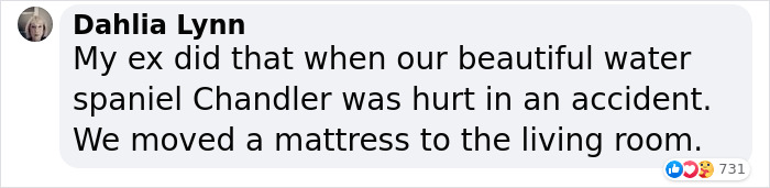 Adopted Dog Is Too Old And Sick To Sleep Upstairs, Family Takes Turns Sleeping With Him On the Couch Every Night Adopted Dog Is Too Old And Sick To Sleep Upstairs, Family Takes Turns Sleeping With Him On the Couch Every Night