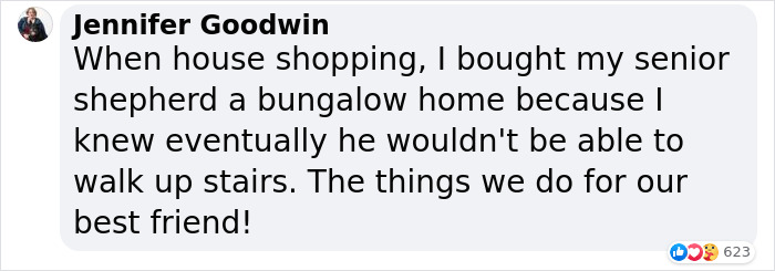 Adopted Dog Is Too Old And Sick To Sleep Upstairs, Family Takes Turns Sleeping With Him On the Couch Every Night