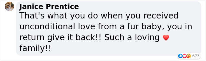 Adopted Dog Is Too Old And Sick To Sleep Upstairs, Family Takes Turns Sleeping With Him On the Couch Every Night Adopted Dog Is Too Old And Sick To Sleep Upstairs, Family Takes Turns Sleeping With Him On the Couch Every Night