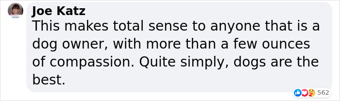 Adopted Dog Is Too Old And Sick To Sleep Upstairs, Family Takes Turns Sleeping With Him On the Couch Every Night Adopted Dog Is Too Old And Sick To Sleep Upstairs, Family Takes Turns Sleeping With Him On the Couch Every Night