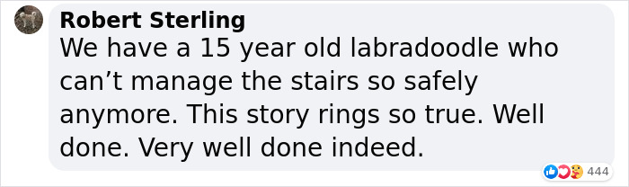 Adopted Dog Is Too Old And Sick To Sleep Upstairs, Family Takes Turns Sleeping With Him On the Couch Every Night Adopted Dog Is Too Old And Sick To Sleep Upstairs, Family Takes Turns Sleeping With Him On the Couch Every Night