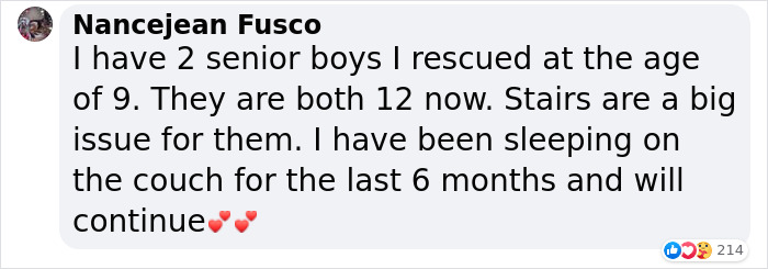 Adopted Dog Is Too Old And Sick To Sleep Upstairs, Family Takes Turns Sleeping With Him On the Couch Every Night Adopted Dog Is Too Old And Sick To Sleep Upstairs, Family Takes Turns Sleeping With Him On the Couch Every Night