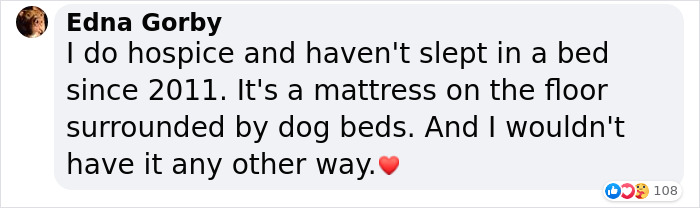 Adopted Dog Is Too Old And Sick To Sleep Upstairs, Family Takes Turns Sleeping With Him On the Couch Every Night