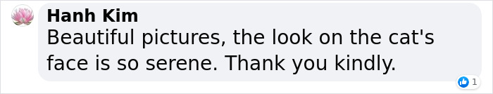 Dad Builds A Heated Cat House With Night Vision Camera To Make Sure The Stray Cats Make It Home Safely Dad Builds A Heated Cat House With Night Vision Camera To Make Sure The Stray Cats Make It Home Safely