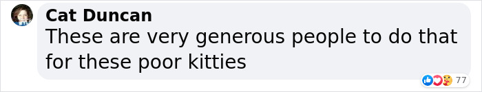 Dad Builds A Heated Cat House With Night Vision Camera To Make Sure The Stray Cats Make It Home Safely