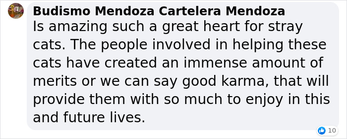 Dad Builds A Heated Cat House With Night Vision Camera To Make Sure The Stray Cats Make It Home Safely Dad Builds A Heated Cat House With Night Vision Camera To Make Sure The Stray Cats Make It Home Safely