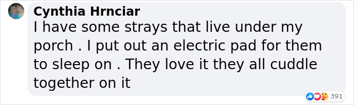 Dad Builds A Heated Cat House With Night Vision Camera To Make Sure The Stray Cats Make It Home Safely