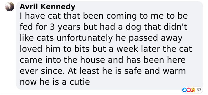 Dad Builds A Heated Cat House With Night Vision Camera To Make Sure The Stray Cats Make It Home Safely Dad Builds A Heated Cat House With Night Vision Camera To Make Sure The Stray Cats Make It Home Safely
