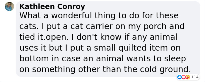 Dad Builds A Heated Cat House With Night Vision Camera To Make Sure The Stray Cats Make It Home Safely Dad Builds A Heated Cat House With Night Vision Camera To Make Sure The Stray Cats Make It Home Safely