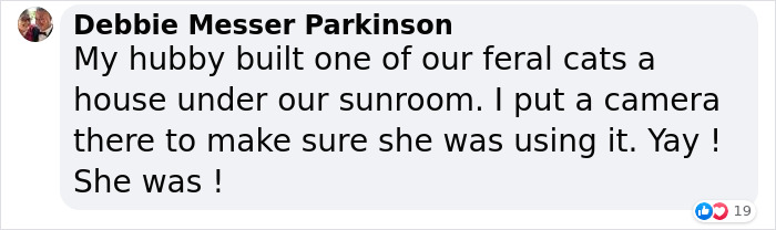 Dad Builds A Heated Cat House With Night Vision Camera To Make Sure The Stray Cats Make It Home Safely