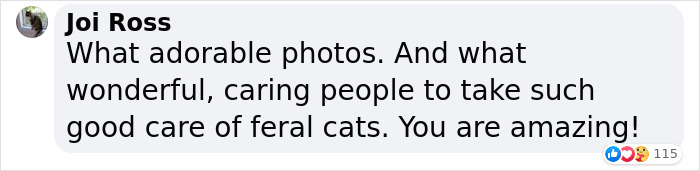 Dad Builds A Heated Cat House With Night Vision Camera To Make Sure The Stray Cats Make It Home Safely Dad Builds A Heated Cat House With Night Vision Camera To Make Sure The Stray Cats Make It Home Safely