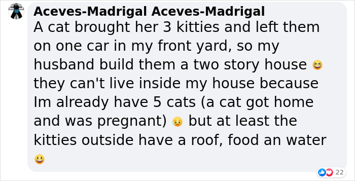 Dad Builds A Heated Cat House With Night Vision Camera To Make Sure The Stray Cats Make It Home Safely Dad Builds A Heated Cat House With Night Vision Camera To Make Sure The Stray Cats Make It Home Safely