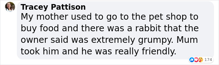 Giant Lab Befriends Distressed Siamese Kitten, Helps It Calm Down And Adapt To Its New Forever Home