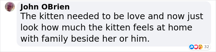 Giant Lab Befriends Distressed Siamese Kitten, Helps It Calm Down And Adapt To Its New Forever Home Giant Lab Befriends Distressed Siamese Kitten, Helps It Calm Down And Adapt To Its New Forever Home