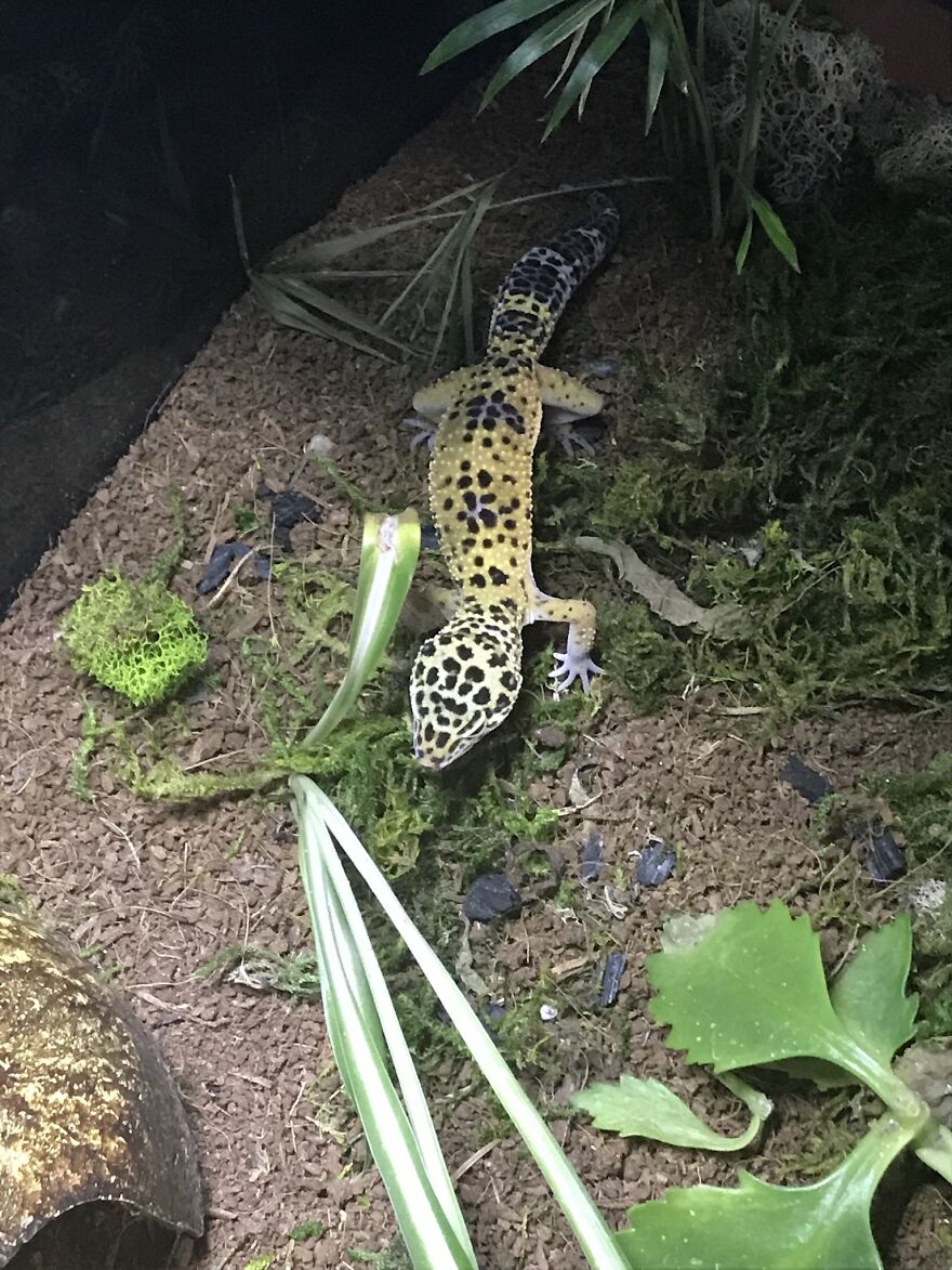 Thought You Guys Might Like Some Cute Animals :)